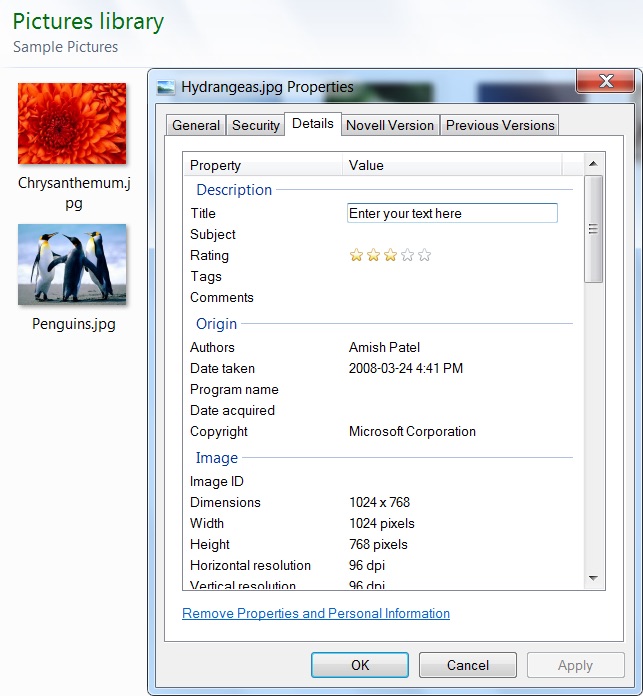 Screenshot of image properties, details tab open